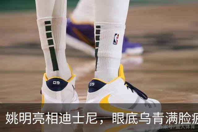 姚明亮相迪士尼，眼底乌青满脸疲惫，一身伤病走路一瘸一拐太沧桑